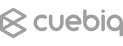 Customer Logo